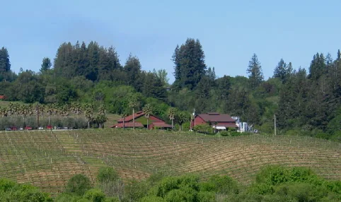 Iron Horse Vineyards