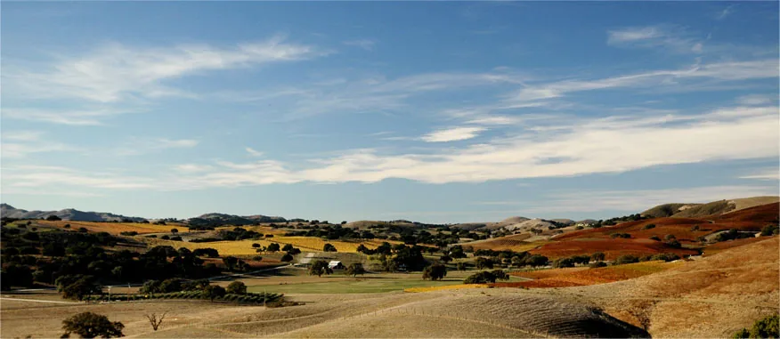 Rusack Vineyards