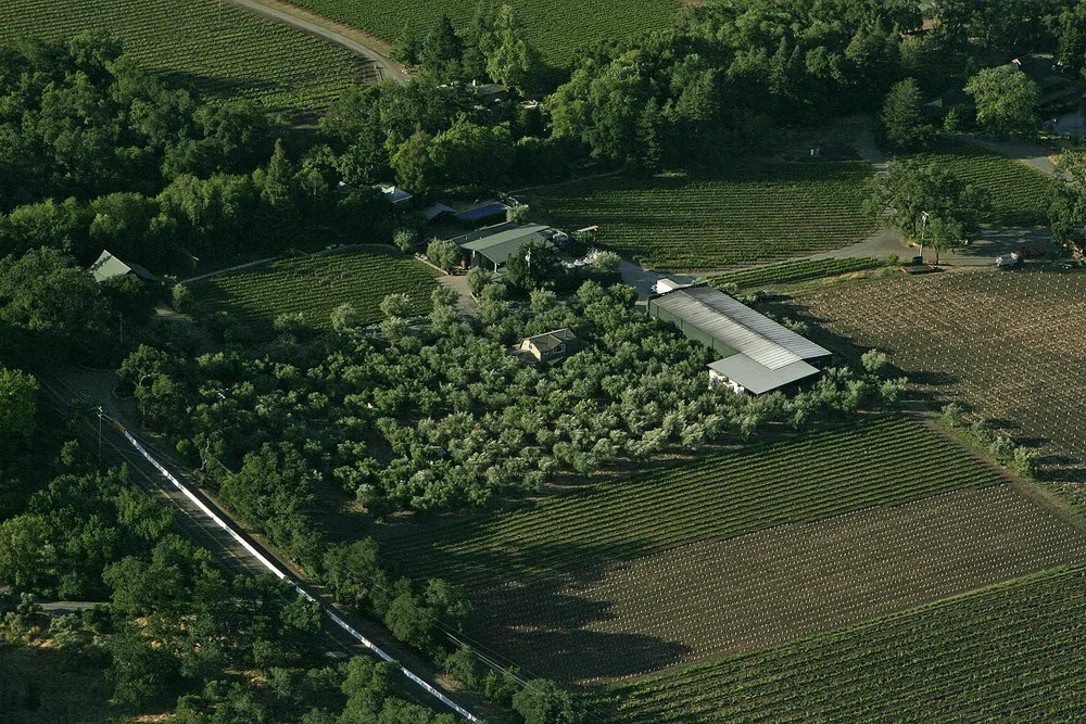 Turley Wine Cellars